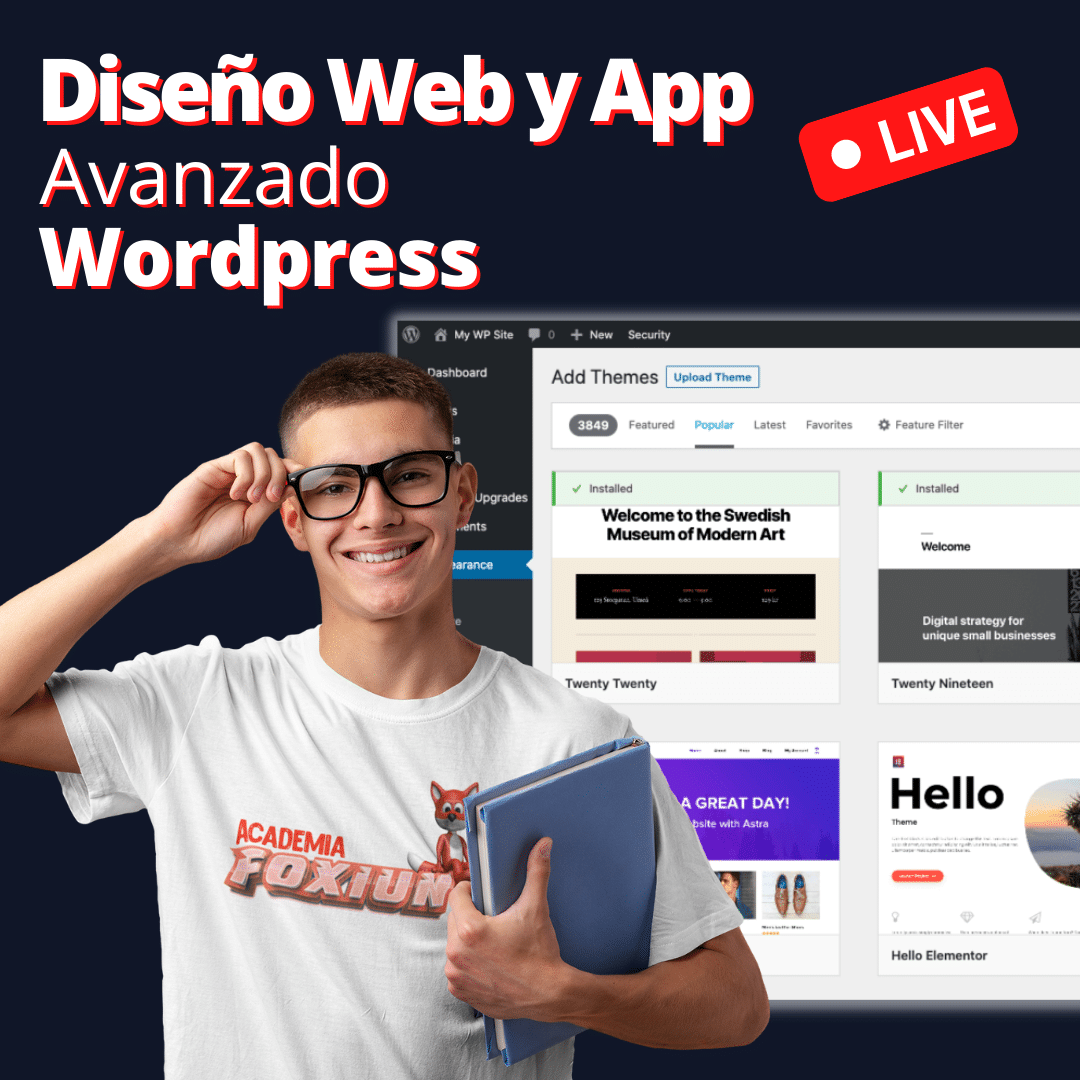 Master en Desarrollo Web y Aplicaciones