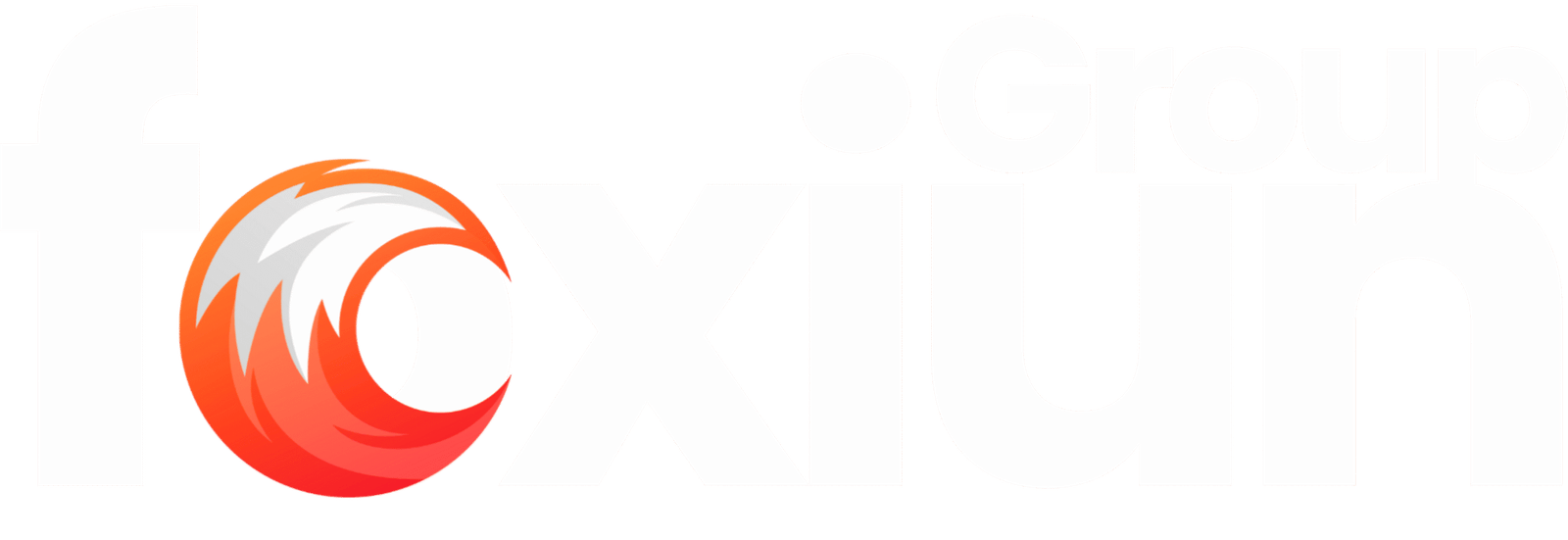 Logo Foxiun Group
